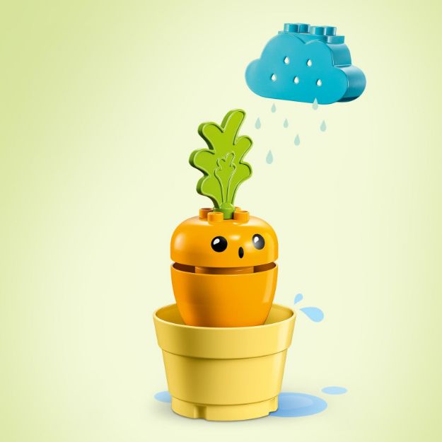 Bild von LEGO® DUPLO® - Wachsende Karotte