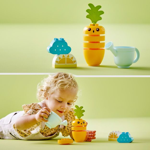 Bild von LEGO® DUPLO® - Wachsende Karotte