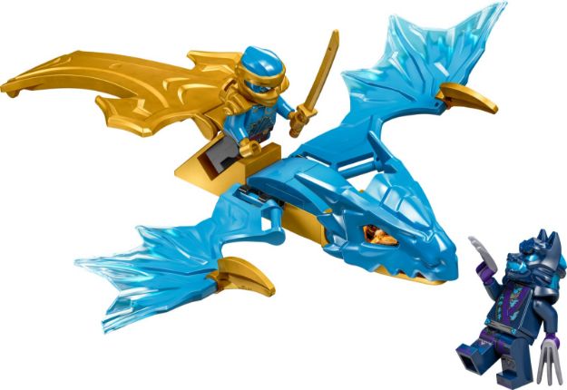 Bild von LEGO® NINJAGO - Nyas Drachengleiter