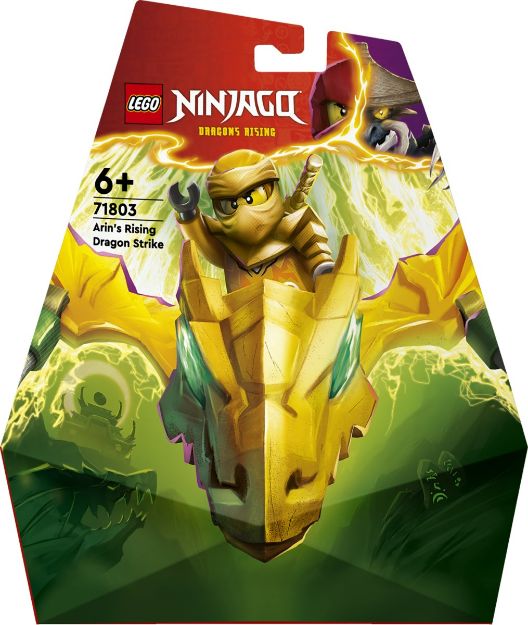 Bild von LEGO® NINJAGO - Arins Drachengleiter