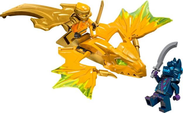 Bild von LEGO® NINJAGO - Arins Drachengleiter