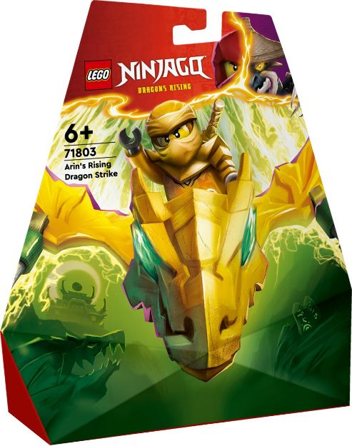 Bild von LEGO® NINJAGO - Arins Drachengleiter