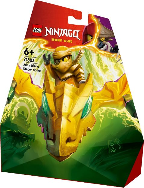 Bild von LEGO® NINJAGO - Arins Drachengleiter