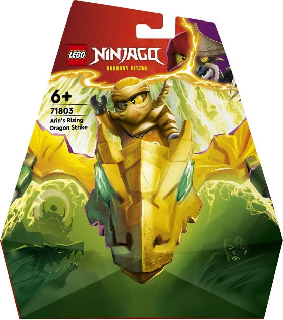 Bild von LEGO® NINJAGO - Arins Drachengleiter