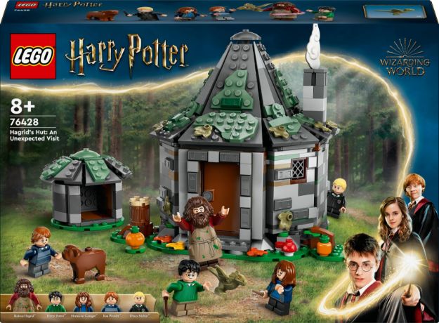 Bild von LEGO® Harry Potter™ - 76428 Hagrids Hütte: Ein unerwarteter Besuch