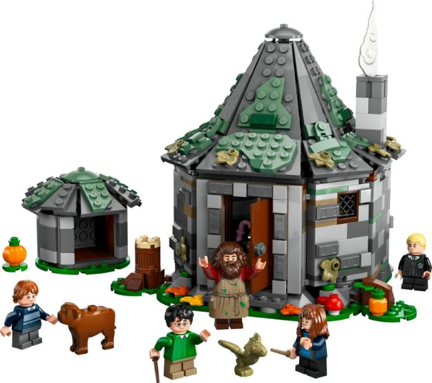 Bild von LEGO® Harry Potter™ - 76428 Hagrids Hütte: Ein unerwarteter Besuch