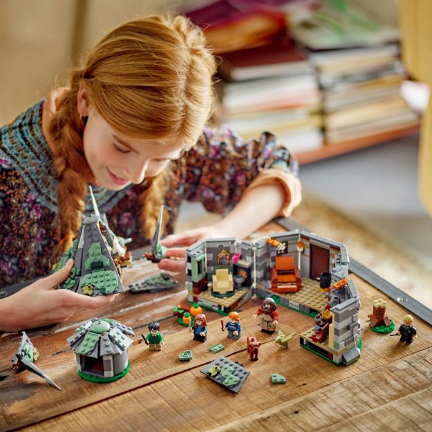 Bild von LEGO® Harry Potter™ - 76428 Hagrids Hütte: Ein unerwarteter Besuch