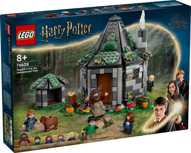 Bild von LEGO® Harry Potter™ - 76428 Hagrids Hütte: Ein unerwarteter Besuch