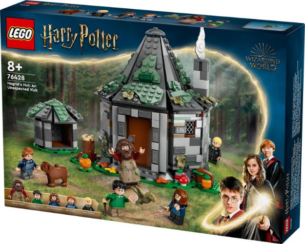 Bild von LEGO® Harry Potter™ - 76428 Hagrids Hütte: Ein unerwarteter Besuch