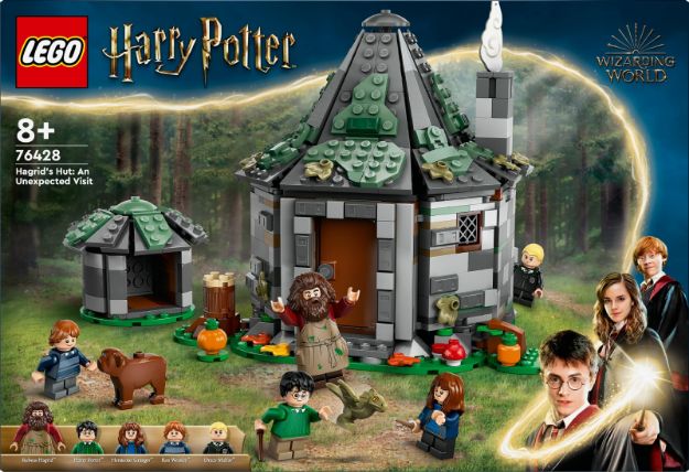 Bild von LEGO® Harry Potter™ - 76428 Hagrids Hütte: Ein unerwarteter Besuch