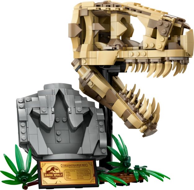 Bild von LEGO® Jurassic World™ - 76964 Dinosaurier-Fossilien: T.-rex-Kopf