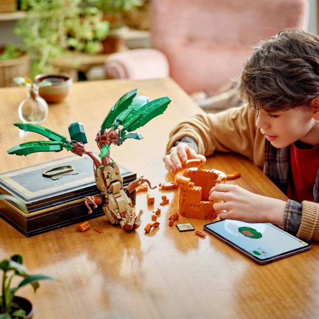 Bild von LEGO® Harry Potter™ - Zaubertrankpflanze: Alraune