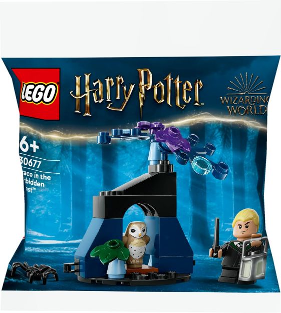 Bild von LEGO Harry Potter Set 1 Polybag