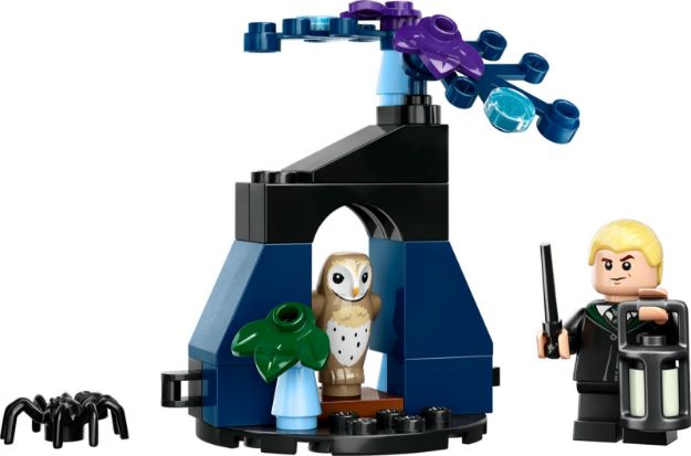 Bild von LEGO Harry Potter Set 1 Polybag