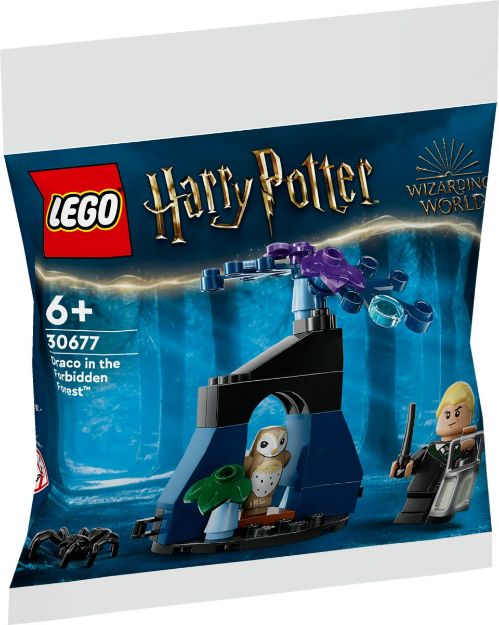 Bild von LEGO Harry Potter Set 1 Polybag