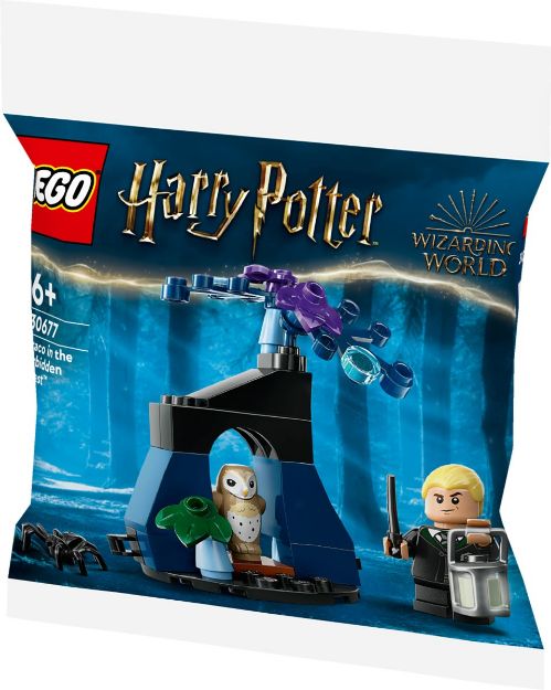Bild von LEGO Harry Potter Set 1 Polybag