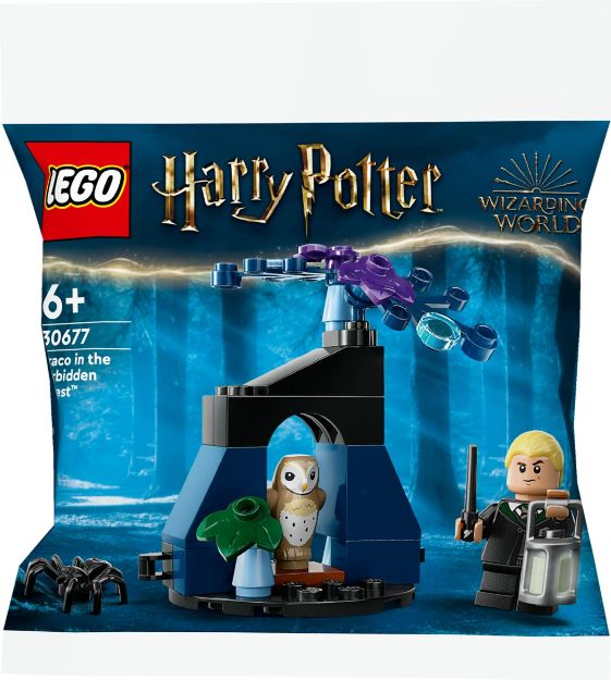 Bild von LEGO Harry Potter Set 1 Polybag
