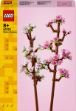 Bild von LEGO Botanicals - 40725 Kirschblüten