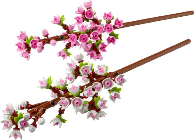 Bild von LEGO Botanicals - 40725 Kirschblüten
