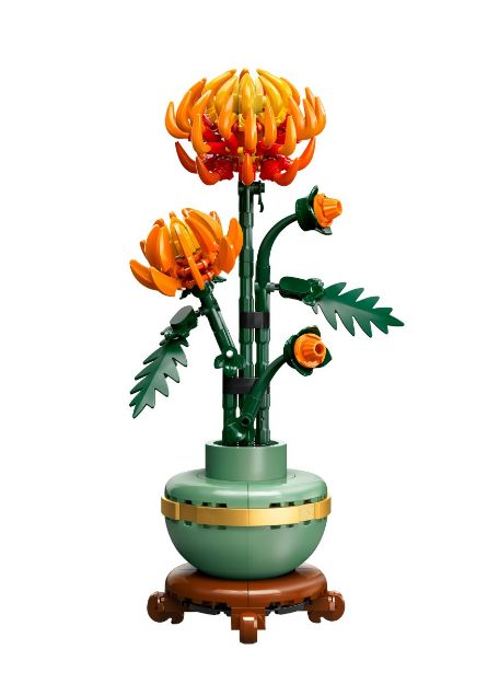Bild von LEGO Botanicals - 10368 Chrysantheme