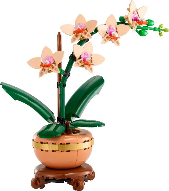 Bild von LEGO Botanicals - 10343 Mini-Orchidee