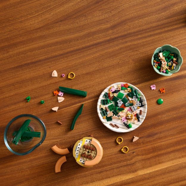 Bild von LEGO Botanicals - 10343 Mini-Orchidee