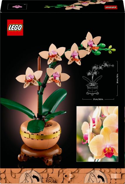 Bild von LEGO Botanicals - 10343 Mini-Orchidee