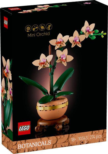 Bild von LEGO Botanicals - 10343 Mini-Orchidee