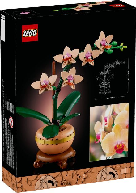 Bild von LEGO Botanicals - 10343 Mini-Orchidee