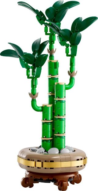 Bild von LEGO Botanicals - 10344 Glücks-Bambus