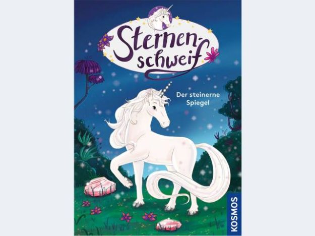Bild von Buch Sternenschweif 3 Der steinerne Spiegel 7J - 170434