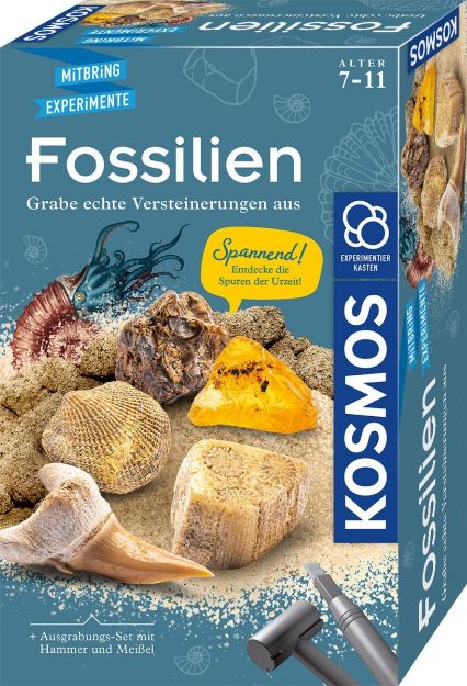 Bild von Kosmos Fossilien - 657918