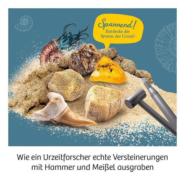 Bild von Kosmos Fossilien - 657918