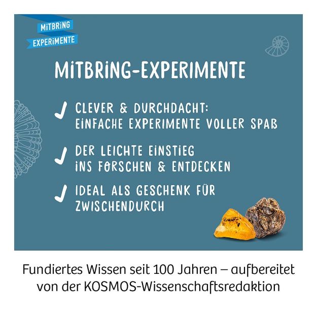 Bild von Kosmos Fossilien - 657918