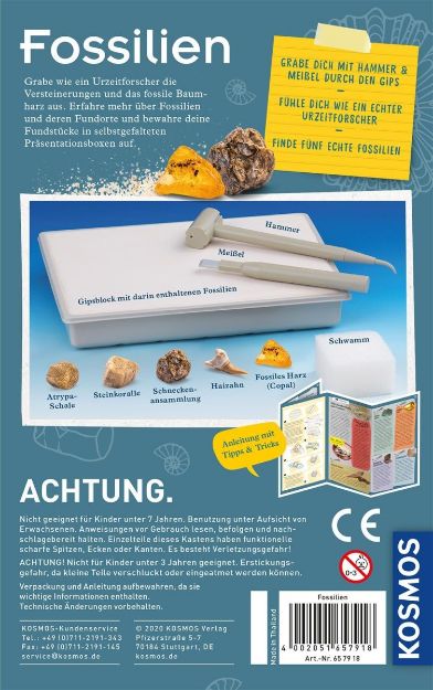 Bild von Kosmos Fossilien - 657918
