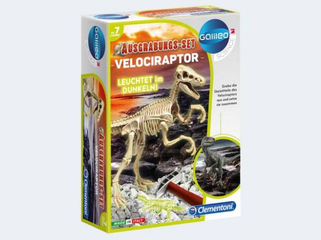 Bild von Galileo Ausgrabungsset Velociraptor nachtleuchtend - 59174.9