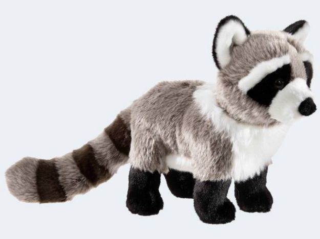 Bild von Waschbär 23cm Plüsch - 279971