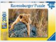 Bild von Kleiner Löwe - 12946