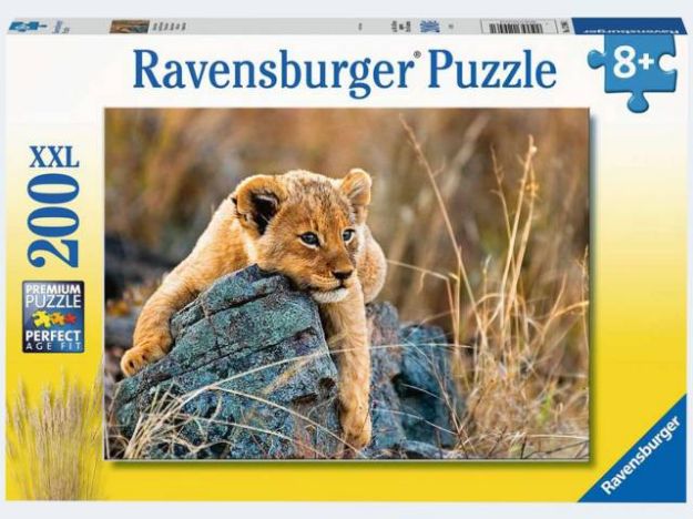 Bild von Kleiner Löwe - 12946