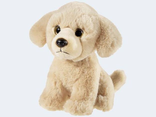 Bild von Golden Retriever 22cm Plüsch - 287679