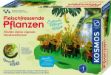 Bild von Kosmos Fleischfressende Pflanzen - 632137