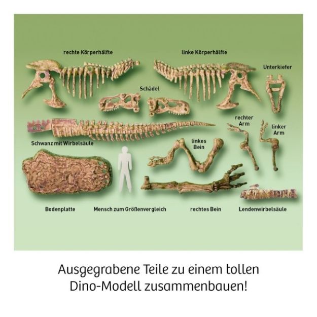 Bild von T-Rex 3D - 636159