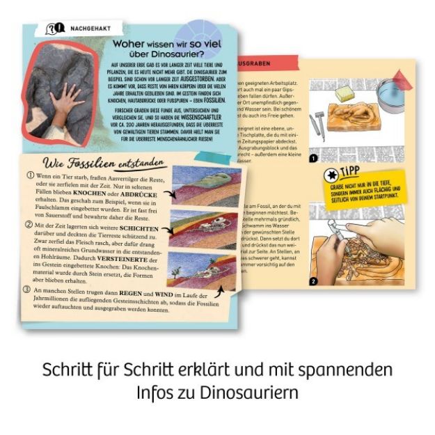 Bild von T-Rex 3D - 636159