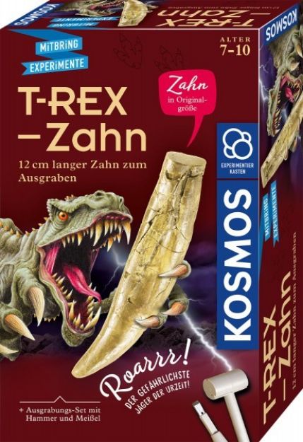 Bild von T-Rex Zahn - 636173