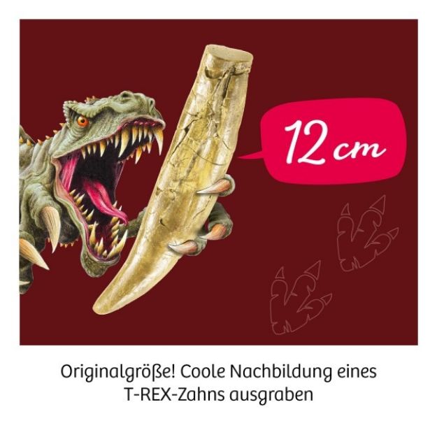 Bild von T-Rex Zahn - 636173