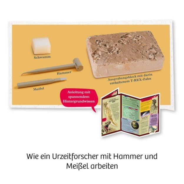 Bild von T-Rex Zahn - 636173