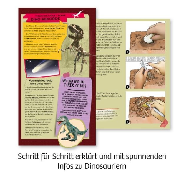 Bild von T-Rex Zahn - 636173
