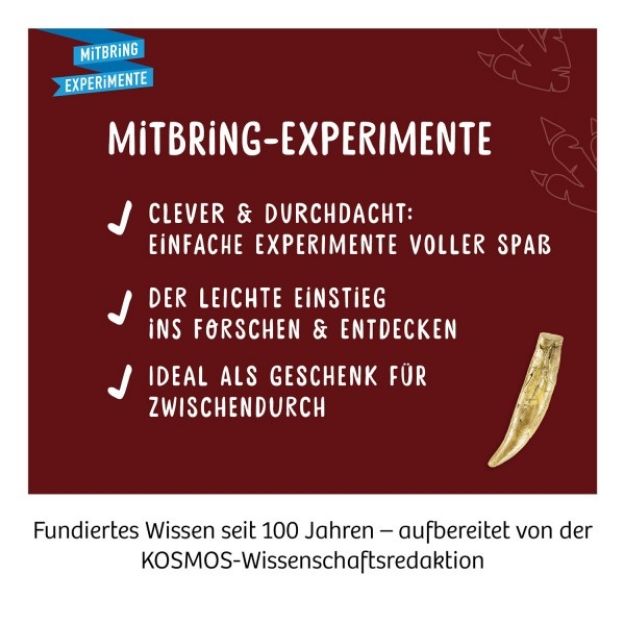 Bild von T-Rex Zahn - 636173