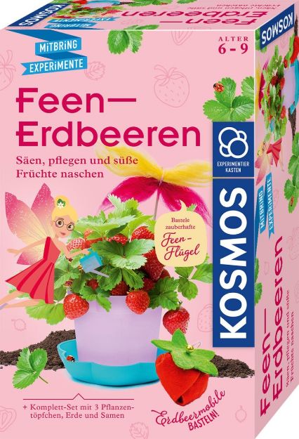 Bild von Feen-Erdbeeren - 657819