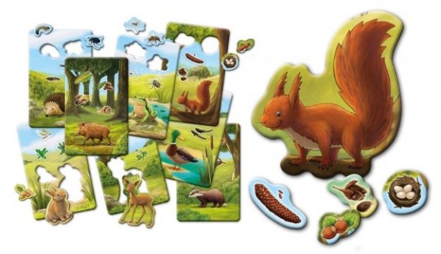 Bild von Fressen Igel Schokoriegel? - 711061